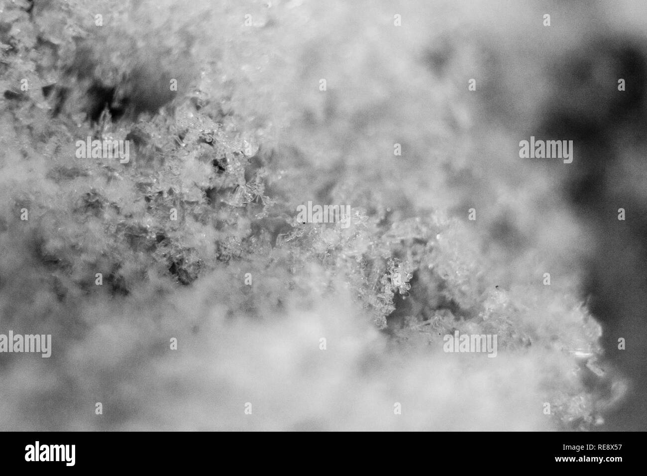 Photos Macro de neige et de cristaux de glace sur des branches de pins sur un hiver extrêmement froid janvier journée à Calgary, Alberta, Canada. Banque D'Images