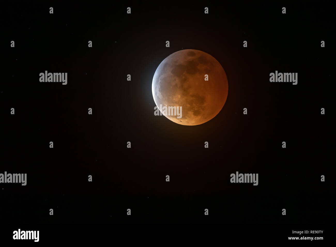 Loup de sang Super Lune vue sur le ciel de Albuquerque, New Mexico, USA Banque D'Images