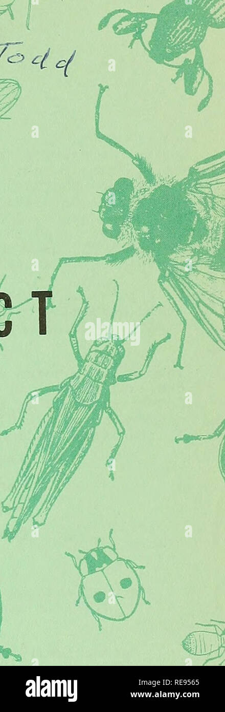 . Rapport d'insectes économique coopérative. Les insectes bénéfiques ; les insectes nuisibles. Le NSEC. f DIVISION DE CONTRÔLE PHYTOSANITAIRE, LA RECHERCHE AGRICOLE * SIVICE UNITEO MEMBRES MINISTÈRE DE L'AGRICULTURE J. Veuillez noter que ces images sont extraites de la page numérisée des images qui peuvent avoir été retouchées numériquement pour plus de lisibilité - coloration et l'aspect de ces illustrations ne peut pas parfaitement ressembler à l'œuvre originale.. United States. Service de la santé animale et végétale. Pour la protection des végétaux et de la quarantaine de programmes ; United States. Bureau international d'entomologie et de la quarantaine végétale ; United States. La Division du contrôle des parasites des végétaux. Hyat Banque D'Images