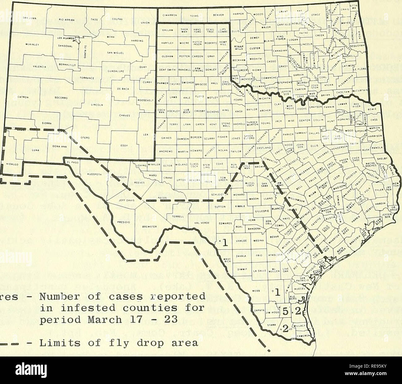 . Rapport d'insectes économique coopérative. Les insectes bénéfiques ; les insectes nuisibles. 286 - État ou la lucilie bouchère (Cochliomyia hominivorax) DANS LE SUD-OUEST Au cours de la période du 17 au 23 mars, un total de 11 cas ont été identifiés. Un autre cas de la lucilie bouchère a été trouvée dans le comté de Kinney, Texas, à environ 20 kilomètres du Rio Grande et à environ 20 milles de la Kinney County. La lucilie bouchère, a également été constaté au cours de cette période, à Brooks, Kenedy, Hidalgo et Duval comtés. Le spécimen de comté de Duval est le premier de ce comté depuis le 17 janvier 1963. Un total de 98 millions de la lucilie bouchère, stérile Banque D'Images