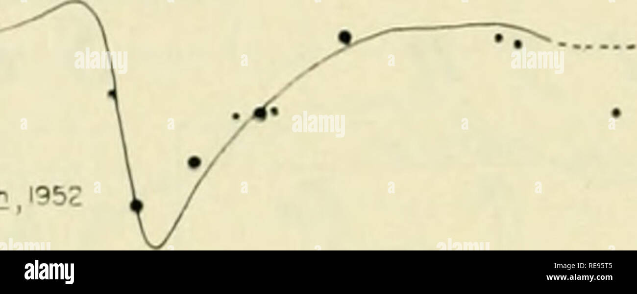 . La terre sous la mer : l'histoire. Fond de l'océan ; géophysique marine. 168 HARRIROX ET WORZEL [chap. 9 probable. Le type B solution impliquerait que la matière volcanique venaient de dee]) dans le manteau. La solution type C implique que soit la matière volcanique sous-marin qui forme l'origine dans la région de l'indemnité ou que le volcanisme est issue profondément dans le manteau du dépôt de certains documents comme l'île et certains comme la racine. OZ- 4C 40* 39- s 0 distance projetée dans 100 km le long de 130Â° W 200 JOO 400 ANOMALIES D'AIR LIBRE calculée â â ¢ onomoty onomoiy observé USiS. Banque D'Images