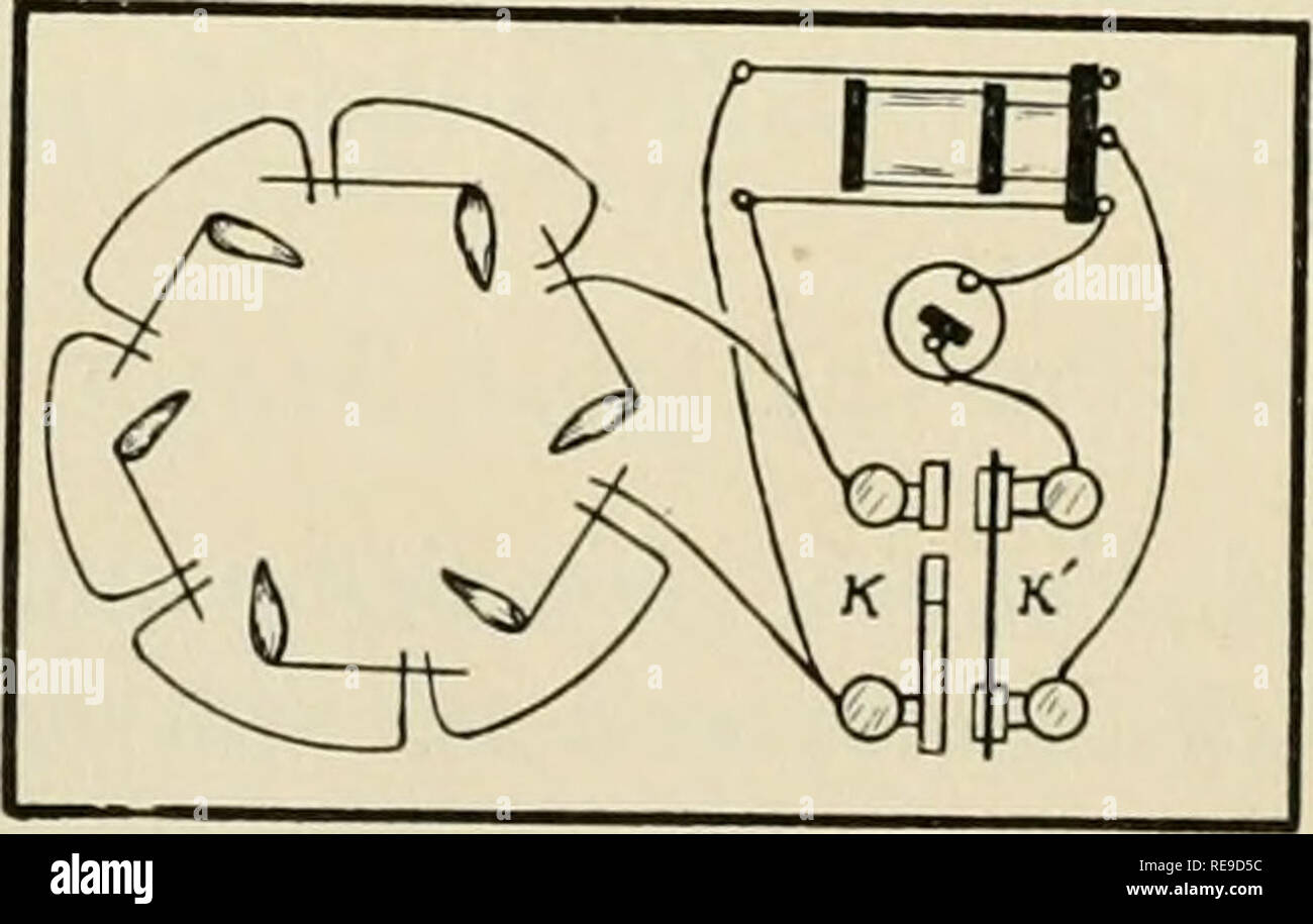 . Les contributions à la physiologie et pharmacologie pratique. La physiologie ; Pharmacologie. Fig. 44. Pris avec des tracés de découpe automatique des clés. Dans chaque cas, l'actuel a été progressivement augmenté et diminué. A. Forme à la main. B. Forme de ressort de balancier. Pendule forme mercure C... Fig. 45. Schéma des circuits dans d'impression recto verso automatique de clés. K et K', les clés primaires et secondaires. Un Pendule ferme K' avant K, court-circuitant ainsi la fermeture courant induit. K' est ouverte avant d'K, permettant ainsi l'ouverture le courant induit dans le circuit stimulant, dans lequel les tissus sont interposés en série. Banque D'Images