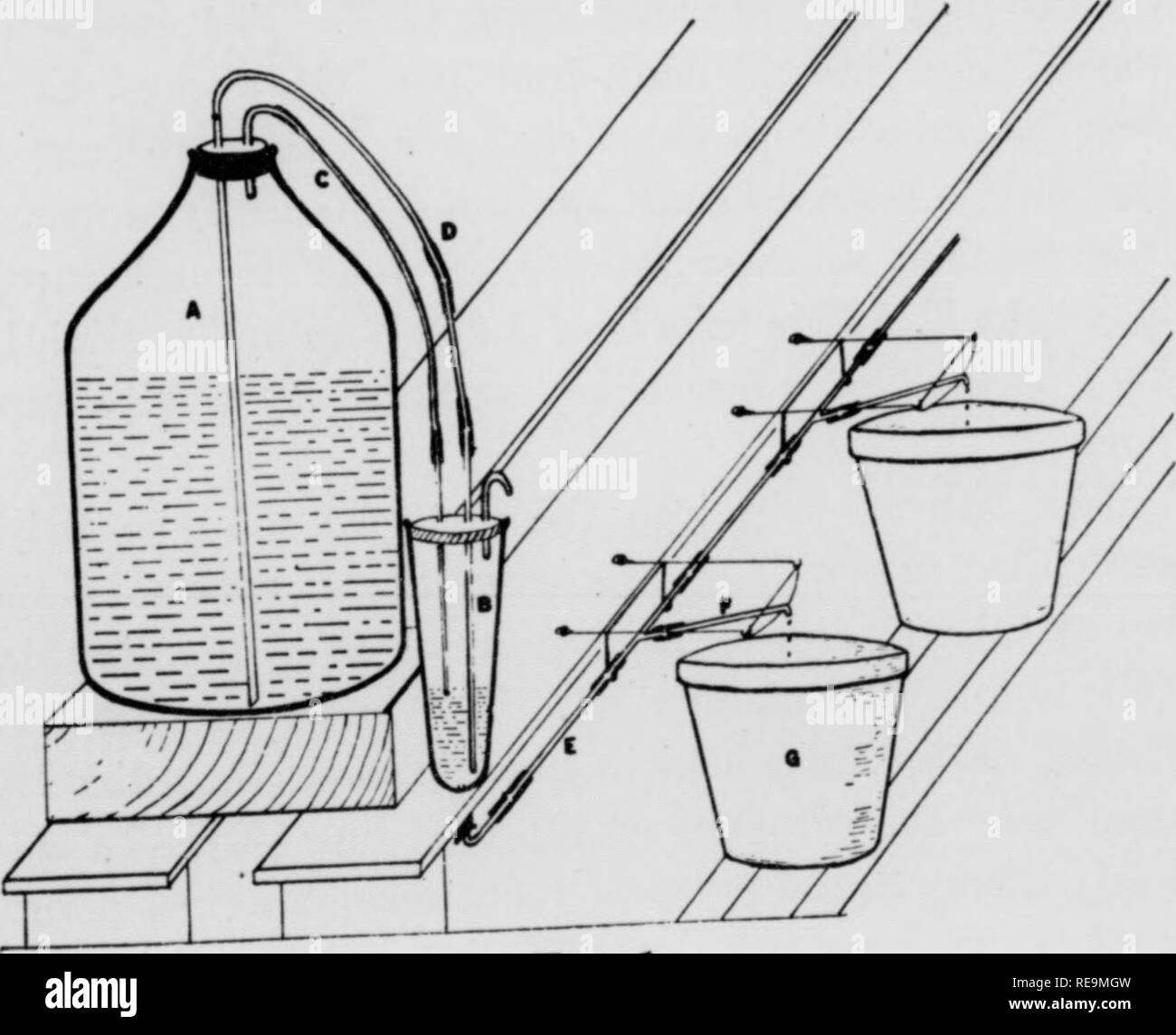 . Les contributions du Laboratoire de Botanique, tome 12. La botanique, la botanique. I K H / LE JARDIN BOTANIQUE - EXAMEN. La structure du protoplasme. La Science 73 : 1. 1931. -. L'origine, la composition et la structure de la cellulose dans le 3644. 45. plante vivante. Protoplasma 21 : 129. 1934. 46. Spek, J. Zum Problem der Plasmastrukturen. Zeitsch. Zellen und Gewebelehre. 1 : 278. 1924. 47. Gesetzmassige Substanzverteilung Ctenophoreneies Fuerhung des bei der. Arch. Entwicklungsmech. Organismen 107 : 54. 1926. Plasmakolloide Befruchtung bei und Entwicklung des 48. Nerieseies. Protoplasma 9 ; 370. L'année 1930. 49. Spierer, C. n'Onu Banque D'Images