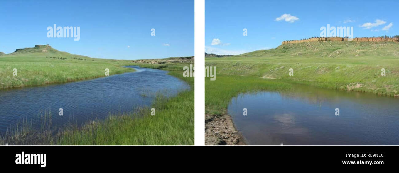 . Enquêtes aquatiques et l'évaluation de la région de Slim Buttes Harding et Butte Co., SD . Les invertébrés aquatiques, les invertébrés aquatiques ; diffuser de l'écologie, de l'écologie, de l'écologie du bassin versant cours d'eau du bassin versant ; l'écologie. Campbell Creek (affluent de Bull Creek, South Fork Grand). La figure 47. Campbell Creek (AES005) extérieure à la Figure 48. Campbell Creek (AES005) à la piscine vers l'aval en amont de l'étang Brown" vers l'emplacement : accessible à partir de Johnson Road à 4,5 milles au NW de Rt 85. Suivre jusqu'à la section nationale de la forêt et baisse de en amont de Brown's Pond. Ville la plus proche : Buffalo, Harding Banque D'Images