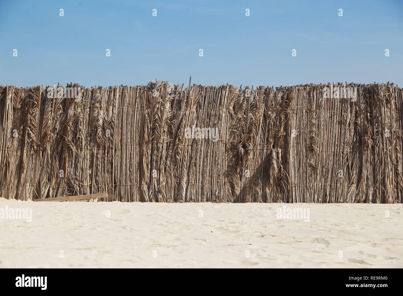 Les feuilles de palmier clôture dans le sable Banque D'Images