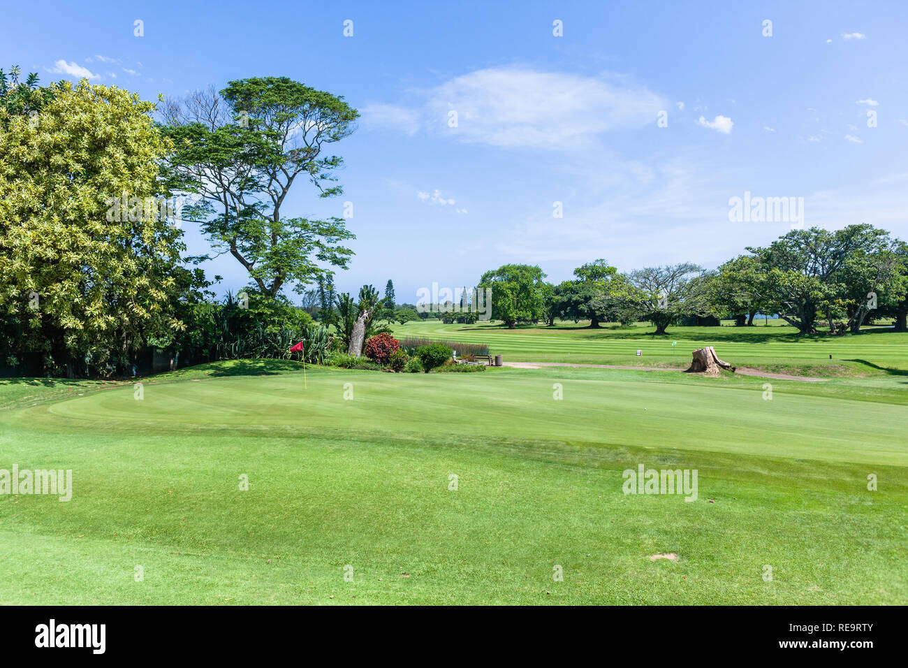 Trou de golf vert drapeau d'été cours côtier pittoresque Banque D'Images