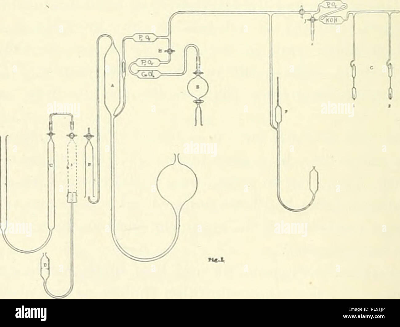 . Les contributions. La biologie. 74 KEYES. Les gaz produits, cependant, a probablement une plus grande influence sur la croissance et le métabolisme des organismes que le manque de pression. Avec une ampoule sous vide de suffisamment de ca- capacité les pressions partielles de ces gaz serait relativement faible. En tout cas, le colon bacillus pousse bien et semble être parfaitement normal lorsqu'il est cultivé dans le vide. Appareil et méthode. - La méthode employée par l'écrivain pour la collecte des gaz produits était de cultiver l'organisme dans un bâtiment dans lequel un vide peut être produit et maintenu et à partir de laquelle les gaz evolv Banque D'Images
