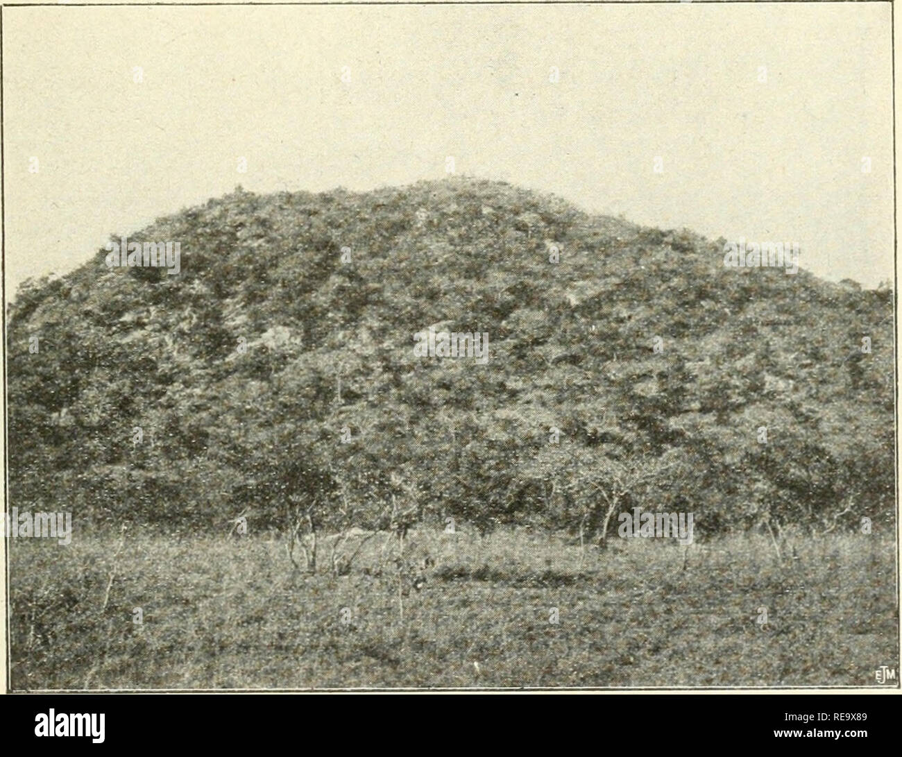 . Contribution à l'étude de la flore du Katanga. La botanique. Cliché jarret. - Institut Solvay. 1. - Colline boisée de la vallée de la Kafue.. Cliché jarret. - Institut Solvay. 2. - En arrivant sur le plateau de la Manika.. Veuillez noter que ces images sont extraites de la page numérisée des images qui peuvent avoir été retouchées numériquement pour plus de lisibilité - coloration et l'aspect de ces illustrations ne peut pas parfaitement ressembler à l'œuvre originale.. Wildeman, Émile de, 1866- ; Comité spécial du Katanga. Bruxelles D. Reynaert Banque D'Images