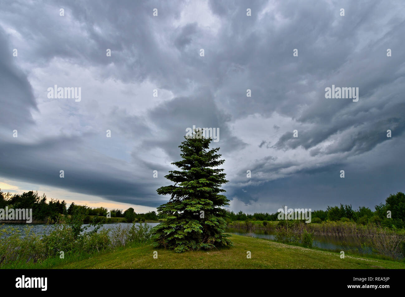 Un grand angle horizontal image de nuages en mouvement sur un étang naturel et des espaces verts dans les régions rurales de l'Alberta au Canada. Banque D'Images