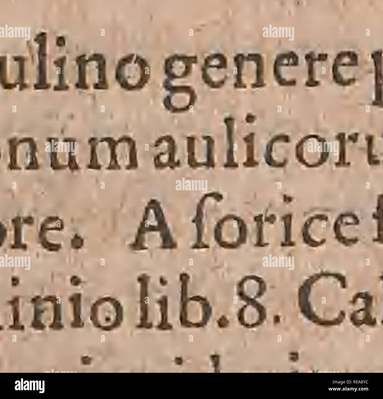 Conradi Gesneri medici Tigurini Historiae animalium liber primus de  quadrupedibus viuiparis : opus philosophis, medicis, grammaticis,  philologis, poe ?tis, &AMP ; linguarumq ?ue omnibus rerum variarum  studiosis, vtilissimum iucundissimumq simul ?ue