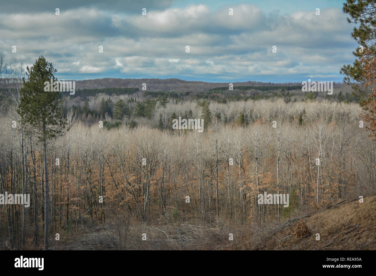 Le nord du Wisconsin vue panoramique Banque D'Images