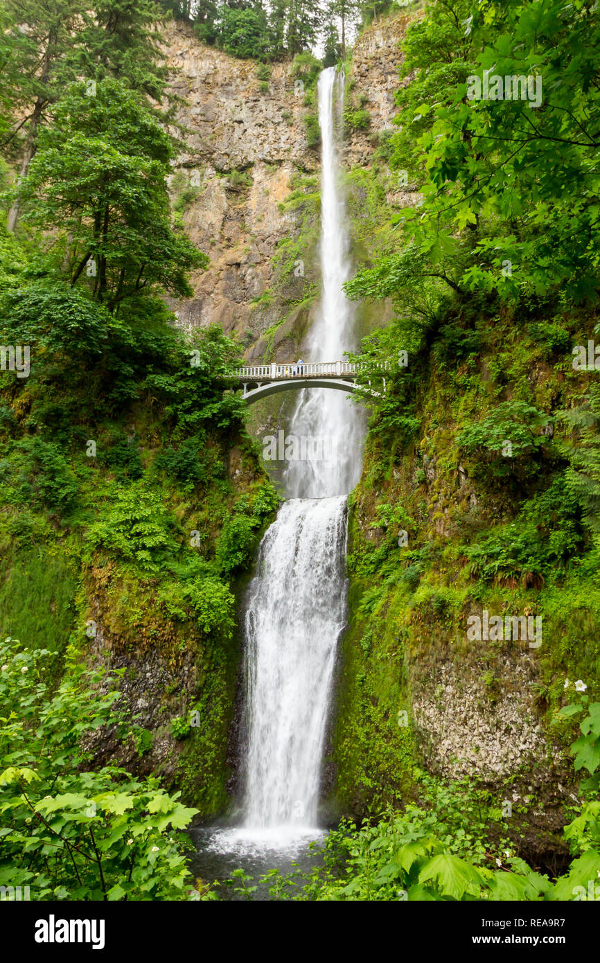 Multnomah Falls spectaculaire - Columbia River Gorge, Bridal Veil, Oregon, USA Banque D'Images