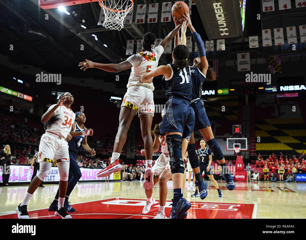 College Park, Maryland, USA. 20 Jan, 2019. Le Maryland Terrapins et Penn State Lady joueurs Lions aller pour un rebond au cours du premier trimestre à Eurosport France Centre. Credit : Terrence Williams/ZUMA/Alamy Fil Live News Banque D'Images