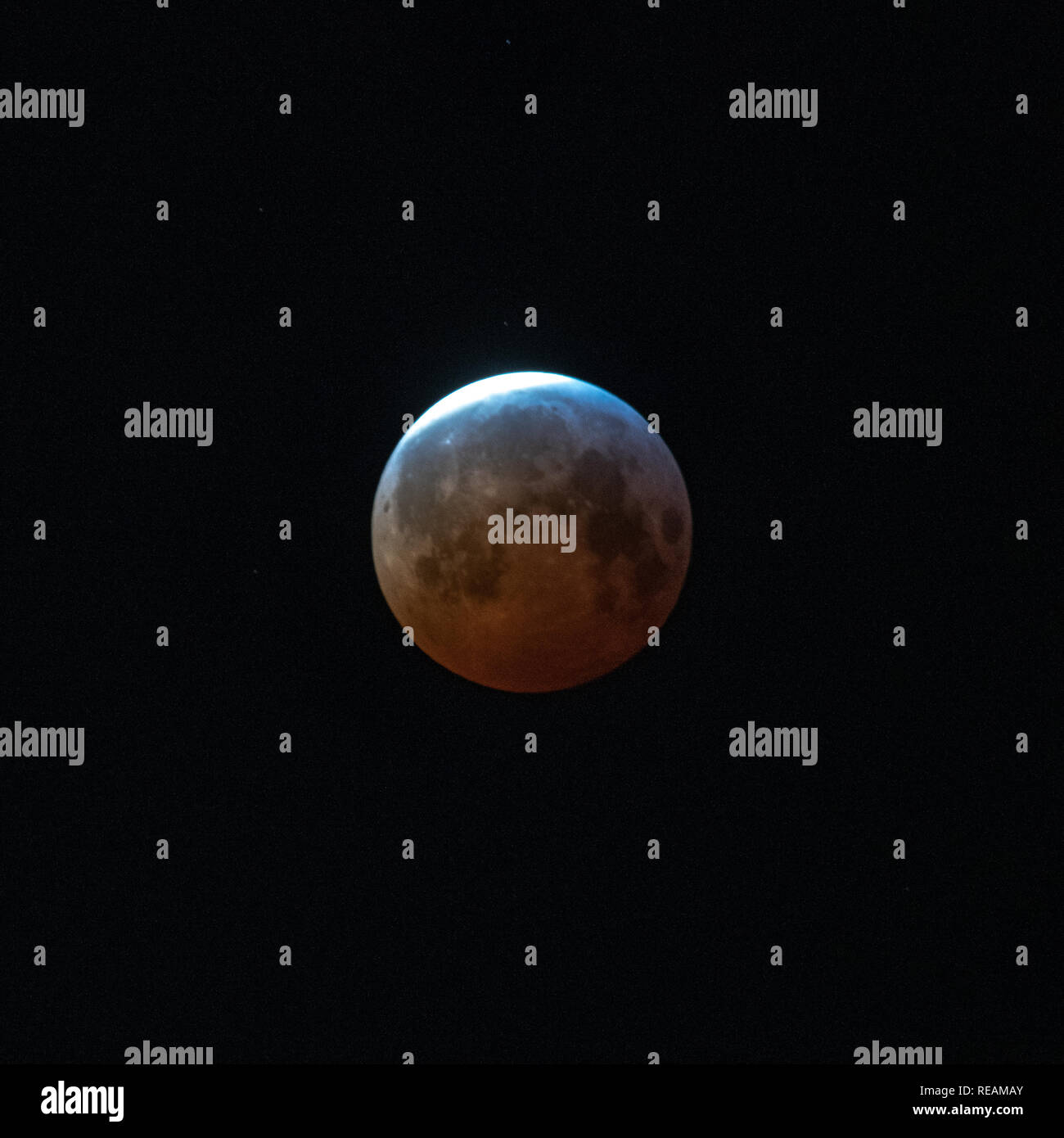 New York, USA. 21 janvier, 2019. Eclipse de Lune sur la ville de New York. Credit : Enrique Shore/Alamy Live News Banque D'Images