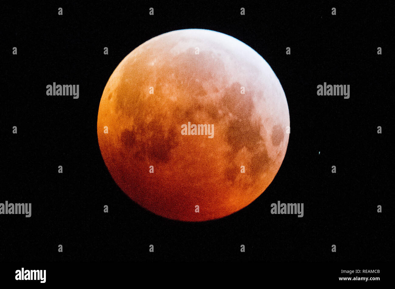 Laatzen, Allemagne. 21 Jan, 2019. Lorsque assombrie, la pleine lune apparaît comme un soi-disant 'blood moon' et apparaît rougeâtre. La lune, le soleil et la terre sont exactement en une ligne au cours d'une éclipse lunaire. Credit : Julian Stratenschulte/dpa/Alamy Live News Crédit : afp photo alliance/Alamy Live News Banque D'Images