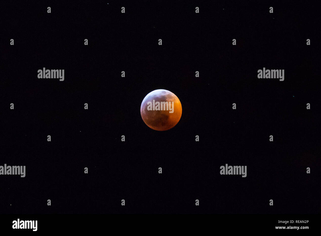 New York, New York, USA. 21 Jan, 2019. Voir d'éclipse lunaire totale de la ville de New York aux États-Unis à l'aube ce lundi, 21. Crédit : William Volcov/ZUMA/Alamy Fil Live News Banque D'Images