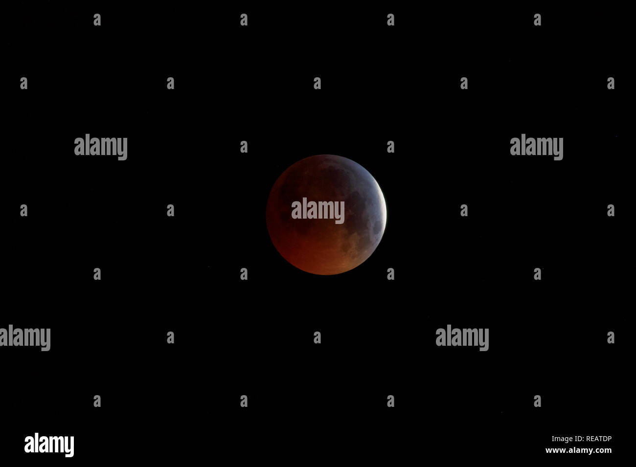 Woking, Surrey, Angleterre, Royaume-Uni, 21 janvier 2019. La lune au loup de sang Super, l'éclipse de lune du 21 janvier 2019, vu de Woking, Surrey, au sud-est de l'Angleterre, Royaume-Uni. L'ombre de la Terre recouvre partiellement la lune peu avant la totalité de l'éclipse. Credit : Graham Prentice/Alamy Live News. Banque D'Images