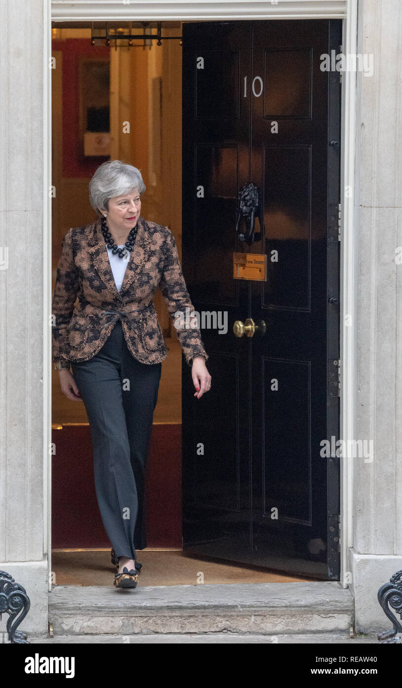 Londres, Royaume-Uni. 21 janvier 2019. Theresa mai le premier ministre néo-zélandais accueille Jacinda Ardern au 10 Downing Street. Crédit : Peter Manning/Alamy Live News Banque D'Images