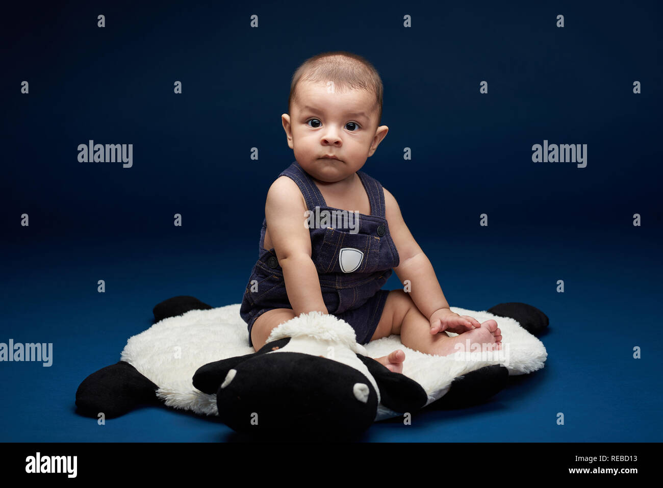 Petit enfant portrait of Hispanic boy on blue background studio Banque D'Images