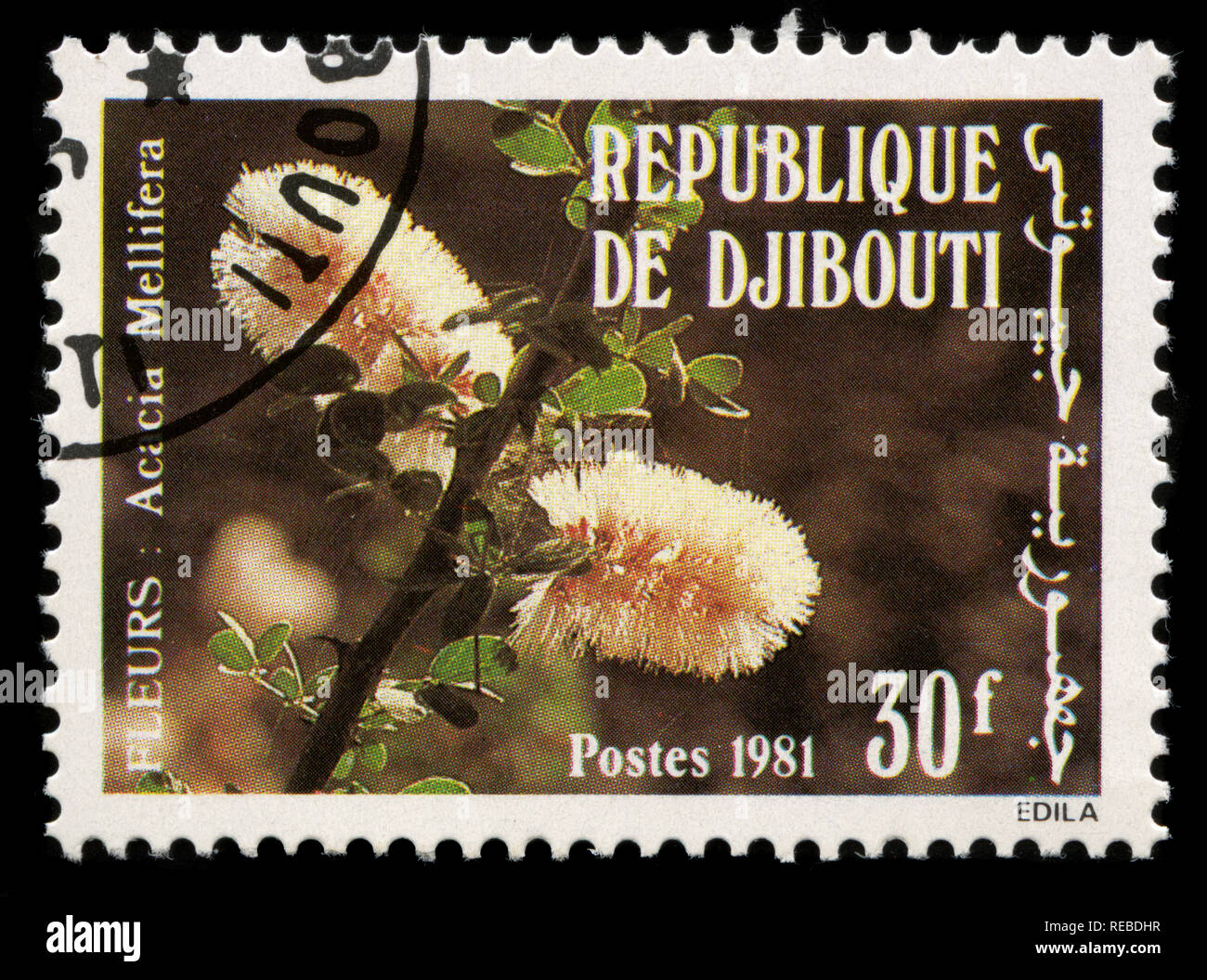 Timbre-poste de Djibouti dans les fleurs série émise en 1981 Banque D'Images