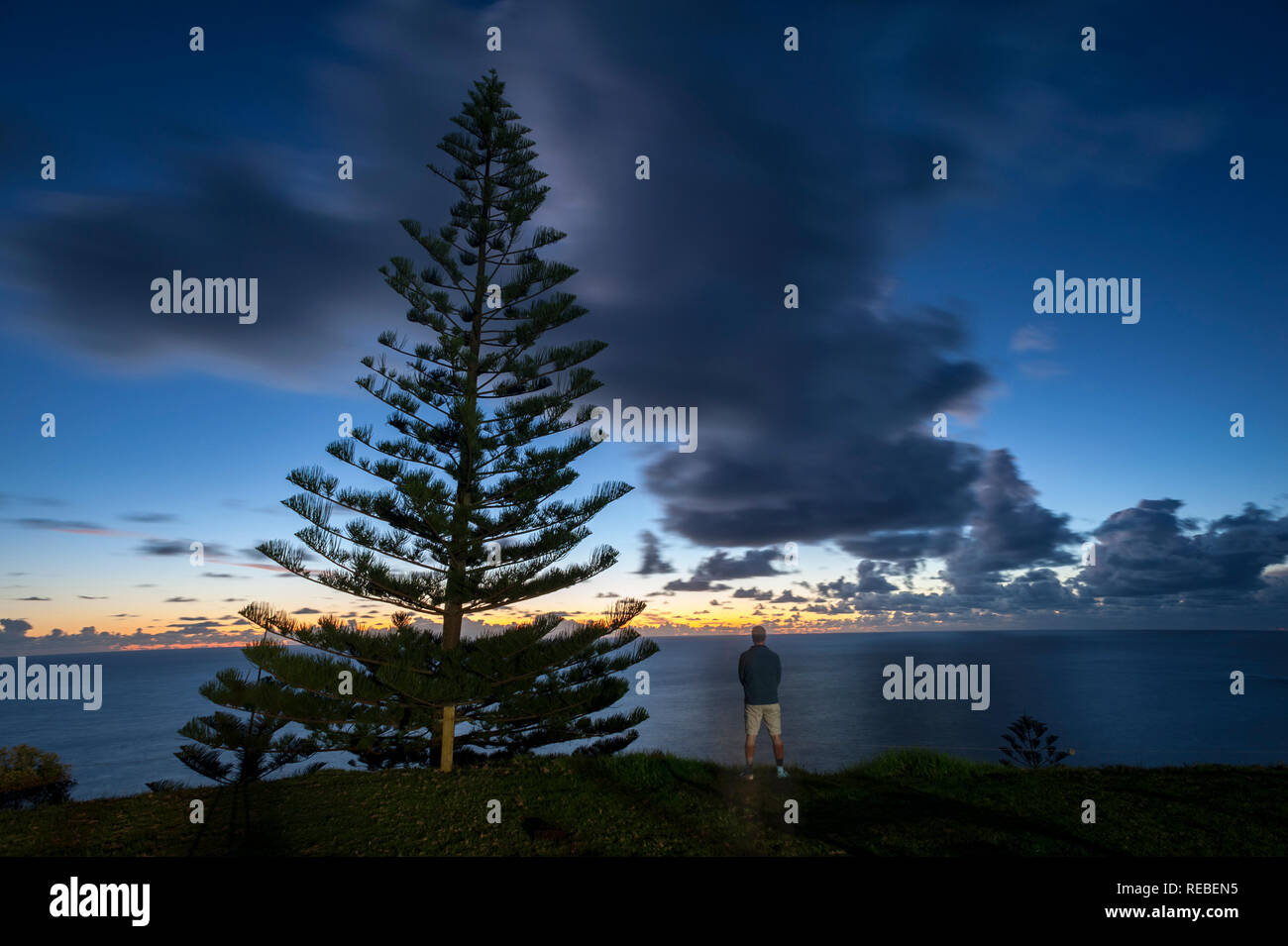 Un homme à la recherche sur le coucher du soleil sur l'horizon avec un pin de Norfolk en silhouette contre Big Sky Banque D'Images