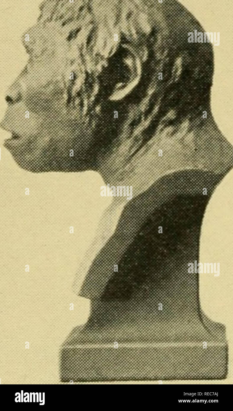 . Concernant l'évolution. L'évolution. PITHECANTHROPUS ERECTUS. Veuillez noter que ces images sont extraites de la page numérisée des images qui peuvent avoir été retouchées numériquement pour plus de lisibilité - coloration et l'aspect de ces illustrations ne peut pas parfaitement ressembler à l'œuvre originale.. Thomson, J. Arthur (Jean Arthur), 1861-1933 ; Dwight Harrington Terry Foundation. New Haven, Yale University Press ; [etc. , Etc. ] Banque D'Images