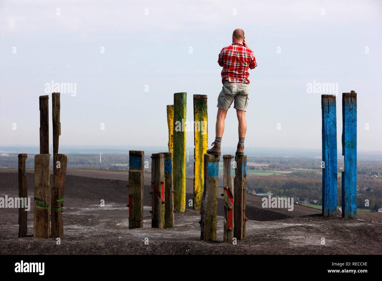 'Totems', l'installation par le peintre et sculpteur Basque Agustín Ibarrola, dans le cadre de l'art, la Halde Haniel. Banque D'Images