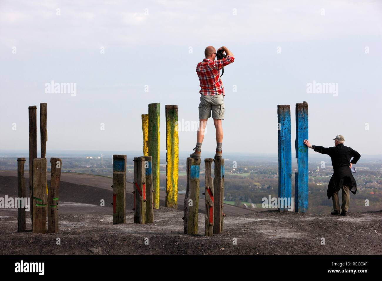 'Totems', l'installation par le peintre et sculpteur Basque Agustín Ibarrola, dans le cadre de l'art, la Halde Haniel. Banque D'Images