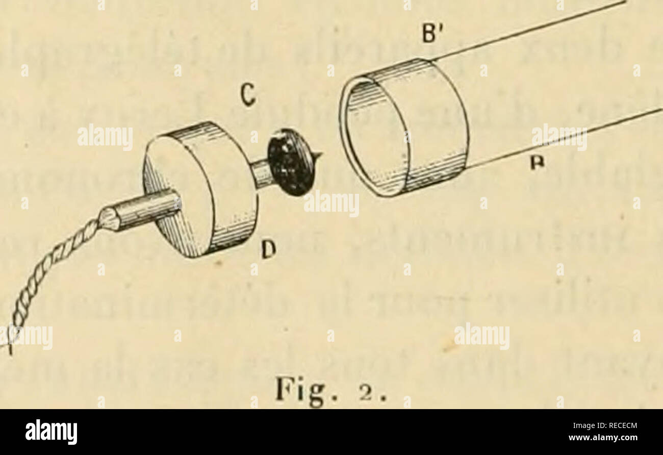 . Tous comptes rendus des séances de l'Académie des sciences. Sciences -- Sociétés, etc ; Sciences ; Sciences. Fig. i. A la place de l'objectif en B sur un bouchon de l'onu mis G traversé par une petite lampe électrique de 2 volts. Le bouchon C étant en place, l'intérieur de la lunette BB' est îtement obscur lorsque le circuit aa' de la pendule P est ouvert. De plus, la. petite lampe électrique D est enveloppée de papier noir. La participation financière de l'ONU TRÀ petit trou est percé dans cette enveloppe afin de permettre à l'observateur de voir seulement un point brillant à l'infini quand le circuit aa' est Banque D'Images