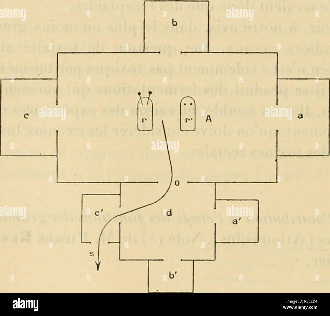. Tous comptes rendus des sÃ©ances de l'AcadÃ©mie des sciences. Sciences -- Sociétés, etc ; Sciences ; Sciences. 88 ACADÉMIE DES SCIENCES. maintenant, en donner la solution dÃ©finitive. Nous avons pris comme sujet d'expÃ©expériences la Limace rouge (Arion ru/us) qu'on trouve abondamment dans les bois pendant la belle saison. Le matÃ©riel dont nous nous sommes servi est trà¨s simple : iÂ° une grande boite A, de iâ' de longueur, o1", 80 de largeur et om, 5o, 50x70 en bois. Sur chacune des quatre faces verticales est pratiquÃ©e une ouverture, démonstration de 10 de cÃ'tÃ©, au ras du sol, laquelle Banque D'Images