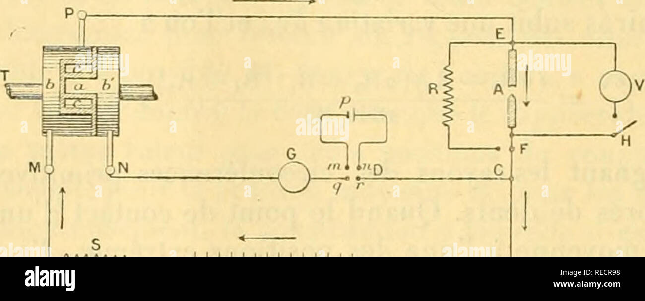 . Comptesrendusheb1251171897acad. es naturelles. ( IG-i ) valeur moyenne, une oscillation australe qui n'atteint pas^ y de cette valeur. )) Le principal inconvénient du systà ¨ me consiste dans l'impossibilité de même faire engrener une roue avec des roues de différentes diamîtres. Â" ÃLECTRICITÃ.  Sur le phénomîne de l'arc électrique. Remarque de M. A. Blondel, présentée par M. Potier. Â" Dans un précédent travail (') j'ai fait connaître diverses raisons qui ne the pas d'admettre, dans l'arc électrique, l'existence d'une force électromotrice de nature comparable aux forces canadiennes éleclromotr Banque D'Images