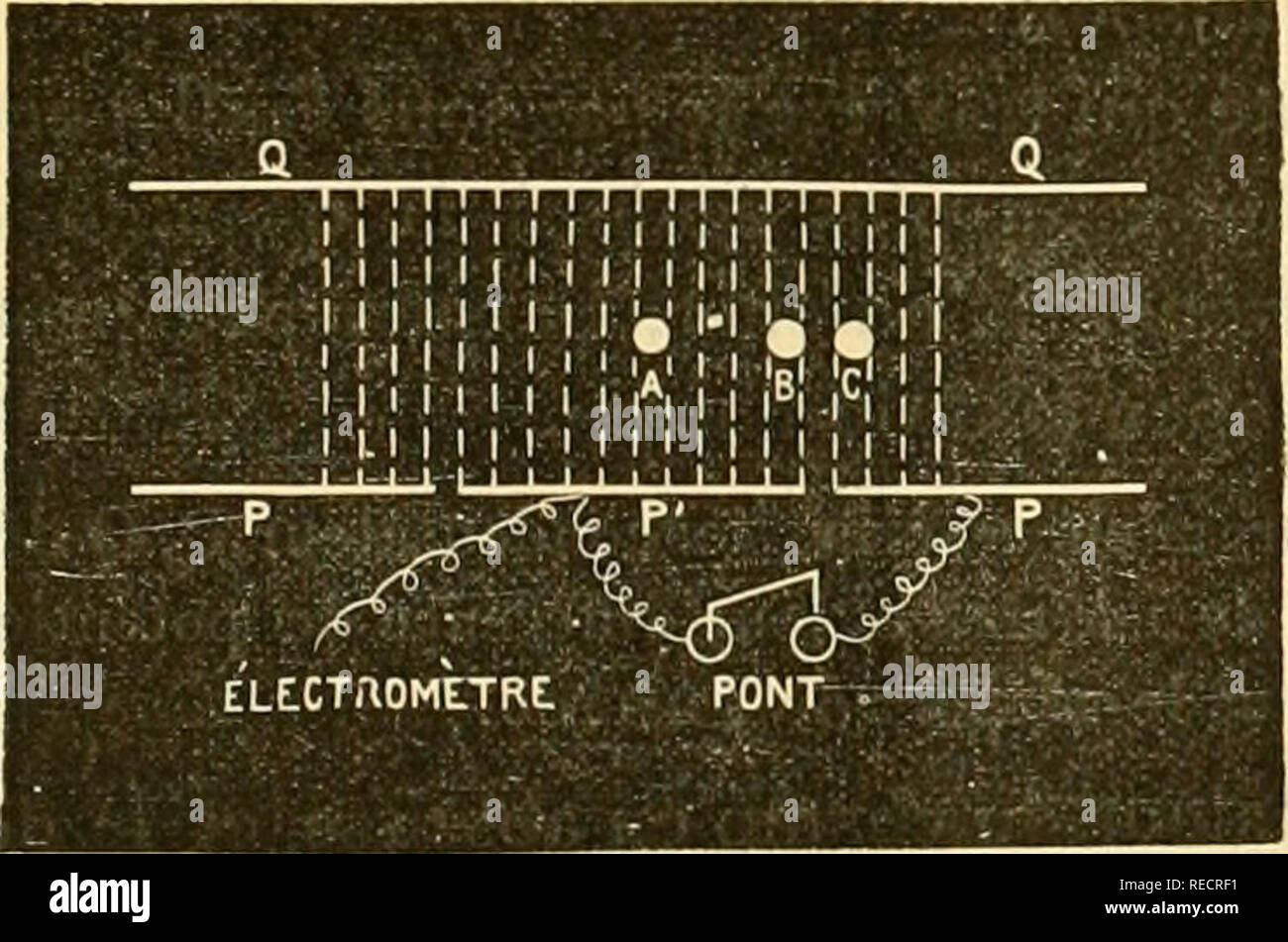 . Comptesrendusheb1231181896acad. es naturelles. ( 35i ) PHYSIQUE.  RÃ'le du diélectrique dans la décharge par les rayons de RÃ'ntgen. Remarque de M. Jean Perrin, présentée par M. Mascart. &Lt ;( En étudiant la décharge d'un corps électrisé par les rayons de Rontgen, on peut y dégager un phénomà ne¨qui précise le rÃ'le du diélectrique envi- ronnant. J'ai déjà publié sur ce point quelques résultats qualitatifs ; après les avoir résumés, j'aborderai ici l'étude de ce quantitative phénomène. Â" I. Il est facile de vérifier que les rayons X peuvent décharger en quelques secondes Banque D'Images
