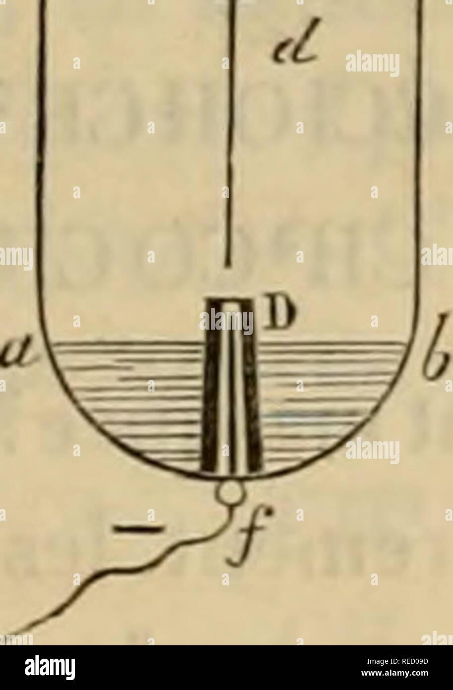 . Comptesrendusheb81acad. es naturelles. Une lubrification, dans lequel le verset le liquide à analyser. B, tube capillaire dans lequel est soudé le fil de platine cd qui constitue l'élec- trode supérieure. C, bouchon de¨lià ge fermant le tube une ; il supporte B et lui permet de se mou- voir-à frottement doux. D, petit tube capillaire un peu conique, coiffant l'électrode intérieure/. J, électrode supérieure. /, électrode inférieure. ab, niveau du liquide.¨centimà article length i tre, mobile, et qui coiffe l'électrode inférieure ^ en la dépassant de 4 millimître. Â" pour faire fonctionner l'appar Banque D'Images