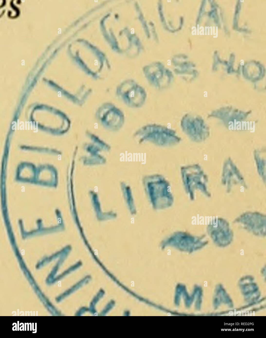 . Comptes rendus des sÃ©ances de la SociÃ©tÃ© de biologie et de ses filiales. La biologie. SÃANCE DU 5 AVRIL. 221 microbes authentiques des grands fonds, comme ceux obtenus avec les matÃ©riaux recueillis, sur ma demande, par le Talisman, et qu'il fau- drait encore me replacer ces microbes dans leurs conditions normales d'acti- vitÃ© physiologique. Ces conditions sont difficiles Ã rÃ©aliser et, ne fÃ"t-ce qu'Ã titre d'essai, j'ai dÃ" tout d'abord rechercher quel est l'effet des hautes pressions sur les organismes unicellulaires, infusoires et microbes, que nous trouvons à la superficie. J'ai dÃ" au Banque D'Images