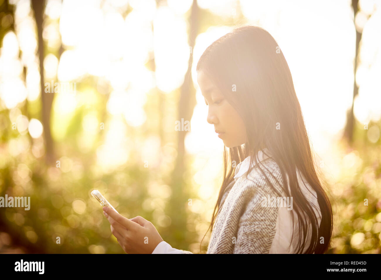 Belle petite fille asiatique aux cheveux longs looking at mobile phone dans la lumière du soleil du matin. Banque D'Images