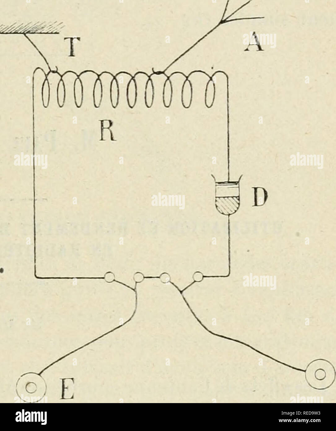 . Compte rendu. La science ; la science -- Congrès. PAUL JÃGOU. DÃTECTEUR ÃLECTROLYTIQUE. 187 qui était un amalgame de mercure-étain ( fig. I ). Comme nous l'in- diquions à l'époque, cet amalgame n'était qu'un choix judicieux fait parmi les métaux peu ou quasi pas attaqués par l'électrolyte et sus- ceptibles dès lors d'E.S©s pour être ancien l'électrode inactif. Au contact de ces métaux évidemment nait une légèlectromo ére vigueur- trice intérieure susceptibles de sensibiliser plus ou moins la cellule élec- trolytique et avec une constance plus ou moins grande, suivant le métal Banque D'Images