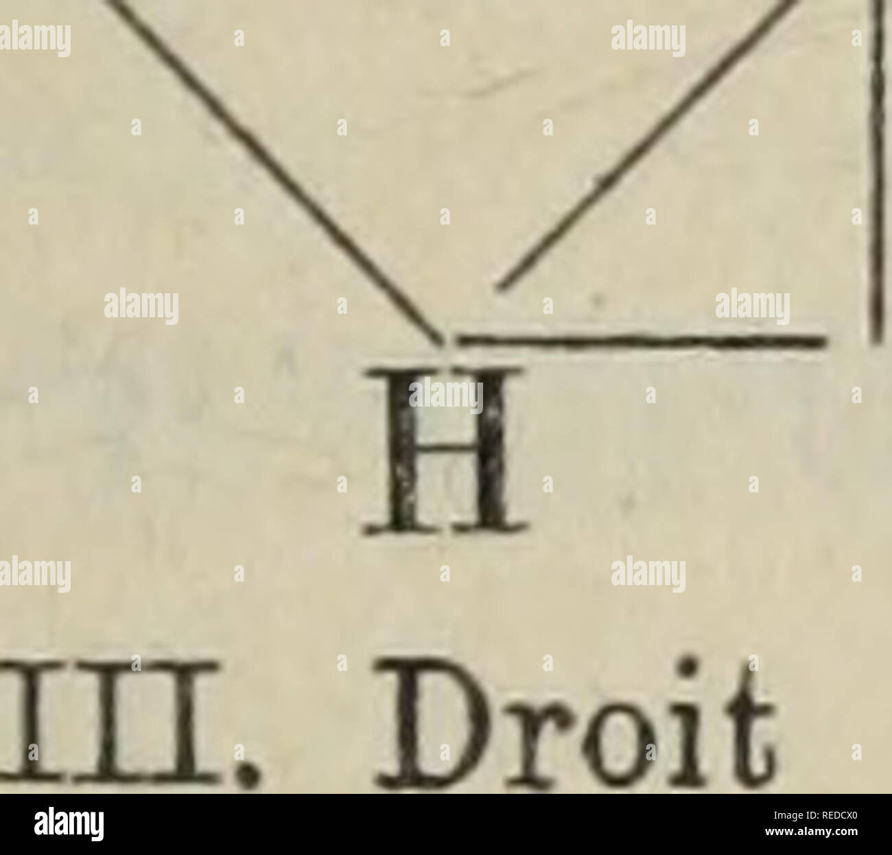 . Compte rendu des sÃ©ances de la SociÃ©tÃ© de physique et d'histoire naturelle de¨GenÃ ve. La science ; la science. SÃANCE DU 21 AVRIL 49 La formule proposÃ©e permet de comprendre fort bien l'existence des acides camphoriques et isocamphoriques, leur transformation rÃ©ciproque l'un dans l'autre. Elle indique la prÃ©sence de deux atomes de carbone asymÃ©triques, ce qui est la condition nÃ©cessaire pour qu'il existe deux isomÃ¨res diffÃ©rentes en dehors des Ã©nantiomorphes de ceux-ci. Si sur les reprÃ©sente par des tÃ©traÃ crd¨les deux carbones asymÃ©triques seulement, sur l'arrivée pour les acides camphorique Banque D'Images