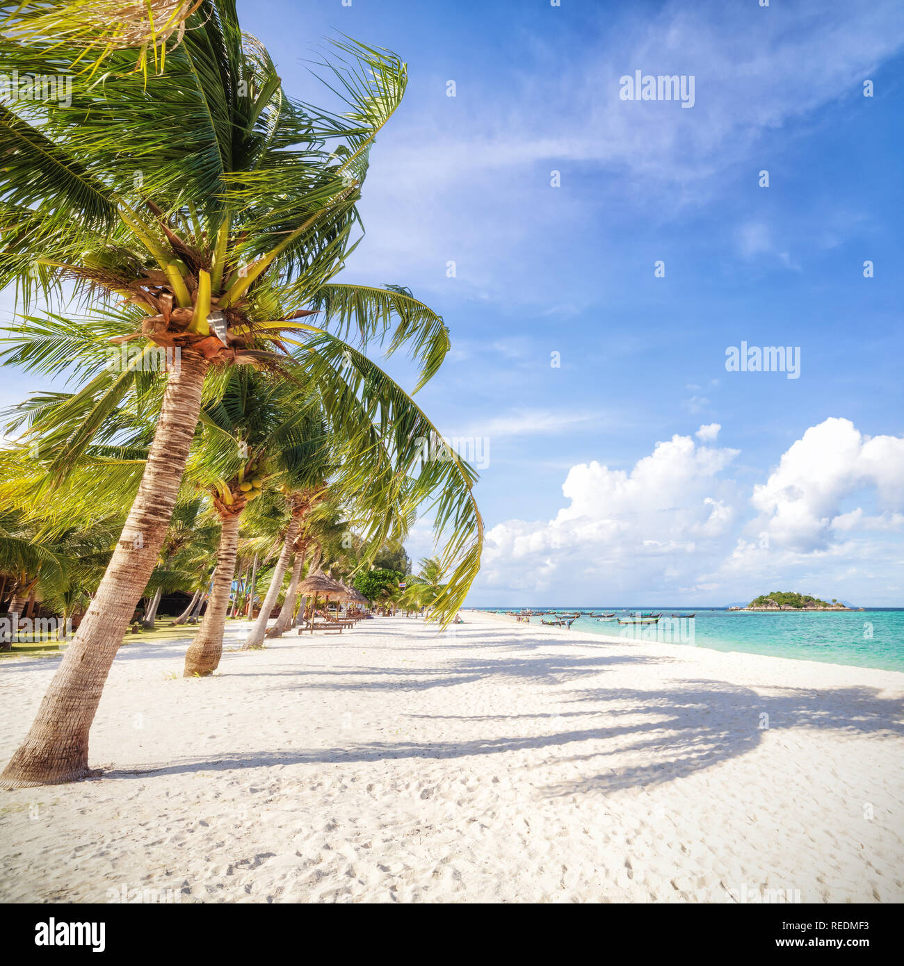 Essences tropicales asiatiques beach paradise en Thaïlande Banque D'Images