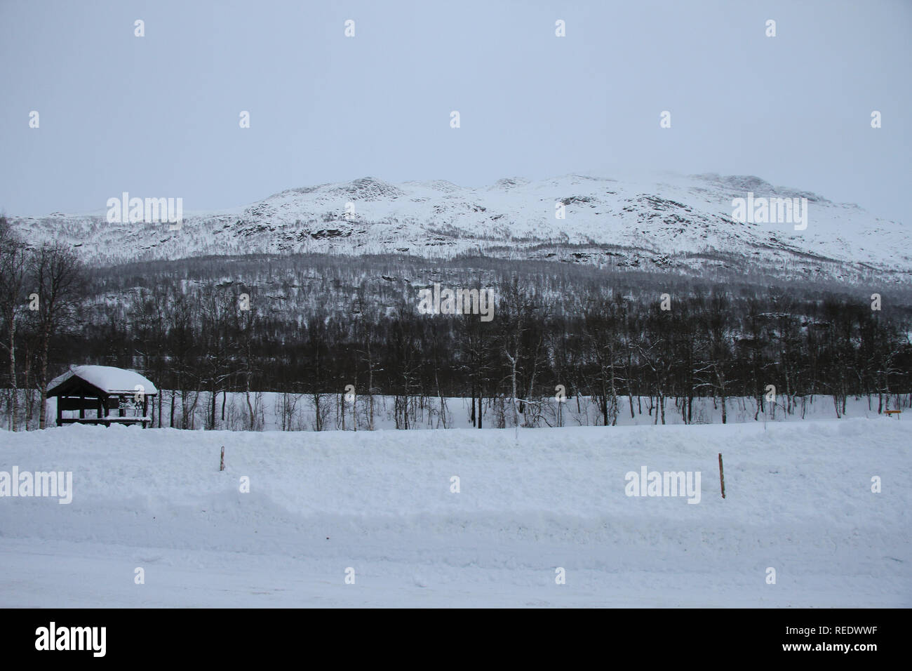 Parc polaire près de Bardufoss Banque D'Images