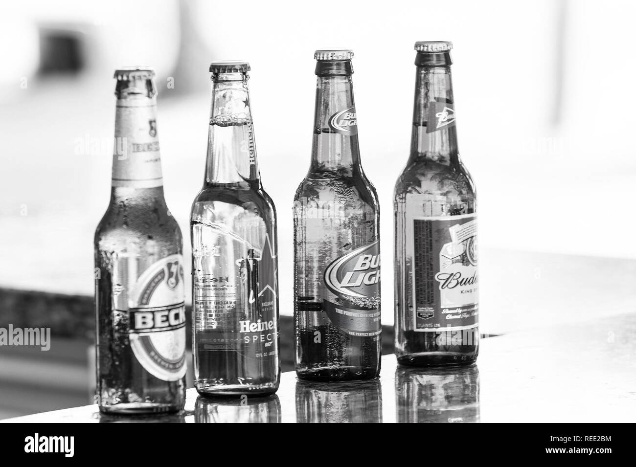 Great Stirrup Cay, Bahamas - janvier 08, 2016 : la bière en bouteilles de verre sur comptoir bar. Mauvaises habitudes d'alcool. Rafraîchissements, boissons, boissons. Beer party celebration Banque D'Images