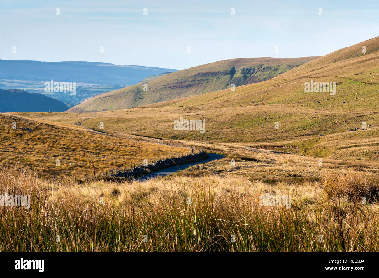 Campagne Près de River Tawe nr Glyntawe Pen-y-cae Parc national de Brecon Beacons Powys Pays de Galles Banque D'Images