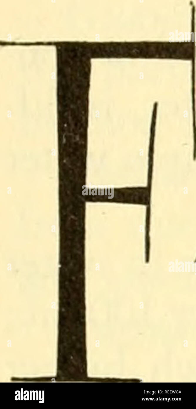 . Physiologie animale comparée. La Physiologie, physiologie ; comparatif, comparatif. Chapitre 7. ATS d'excrétion d'azote et les glucides sont oxidizcd à l'eau et de dioxyde de carbone, qui sont facilement éliminés ; les protéines et acides nucléiques contiennent de l'azote, qui est excrété dans divers composés en fonction de la physiologie de l'organisme. Déchets azotés peuvent provenir des protéines (par voie d'acides aminés), à partir de la bases puriques et pyrimidiques d'acides nucléiques, et d'autres composés azotés. *"'Â ¢ â 'â ¢'â â " NATURE CHIMIQUE DE PRODUITS AZOTÉS Produits de dégradation des protéines. Banque D'Images