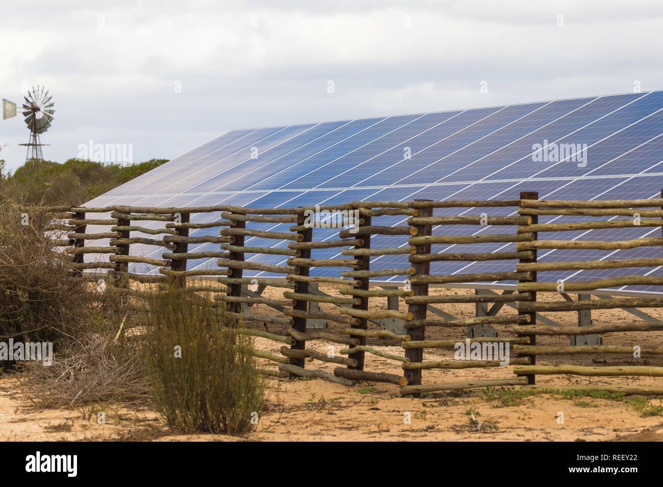 Panneaux solaires, photovoltaïque, en temps de nature bancaire pour convertir la lumière du soleil en énergie verte pour vivre en Afrique du Sud avec la pompe du vent derrière Banque D'Images