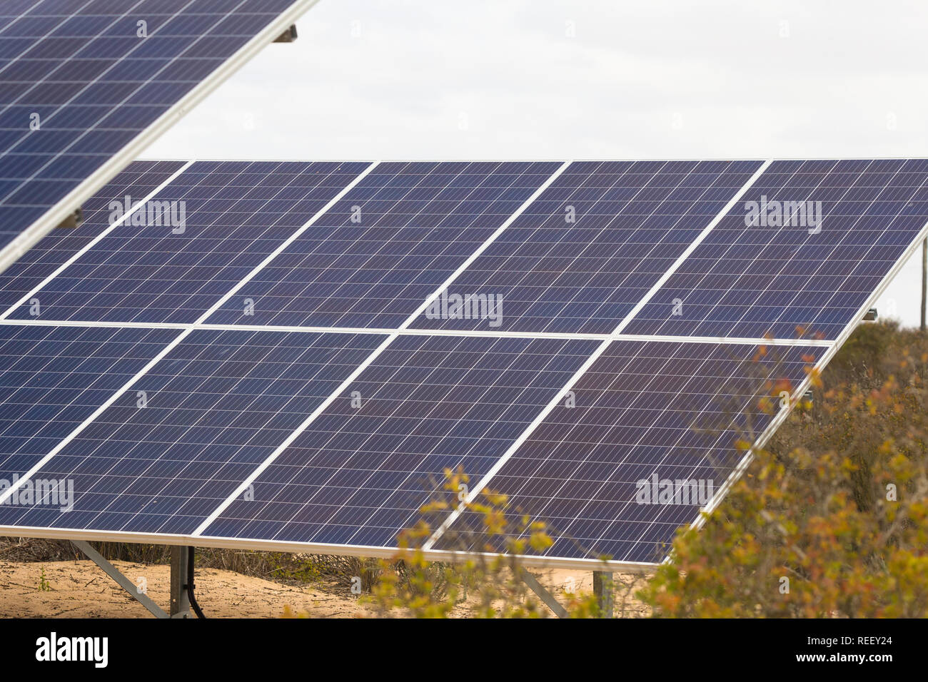 L'énergie solaire photovoltaïque, panneau, Close up dans la nature en utilisant le soleil pour convertir en électricité l'énergie verte pour vivre en Afrique du Sud Banque D'Images L'énergie solaire photovoltaïque, panneau, Close up dans la nature en utilisant le soleil pour convertir en électricité l'énergie verte pour vivre en Afrique du Sud Banque D'Images