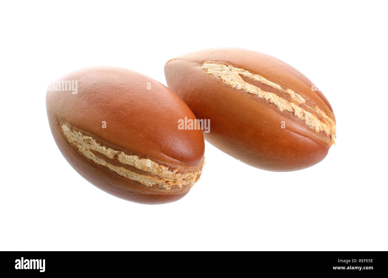 L'huile de graines d'argan. Isolé sur fond blanc. Ministère de plein champ. Banque D'Images