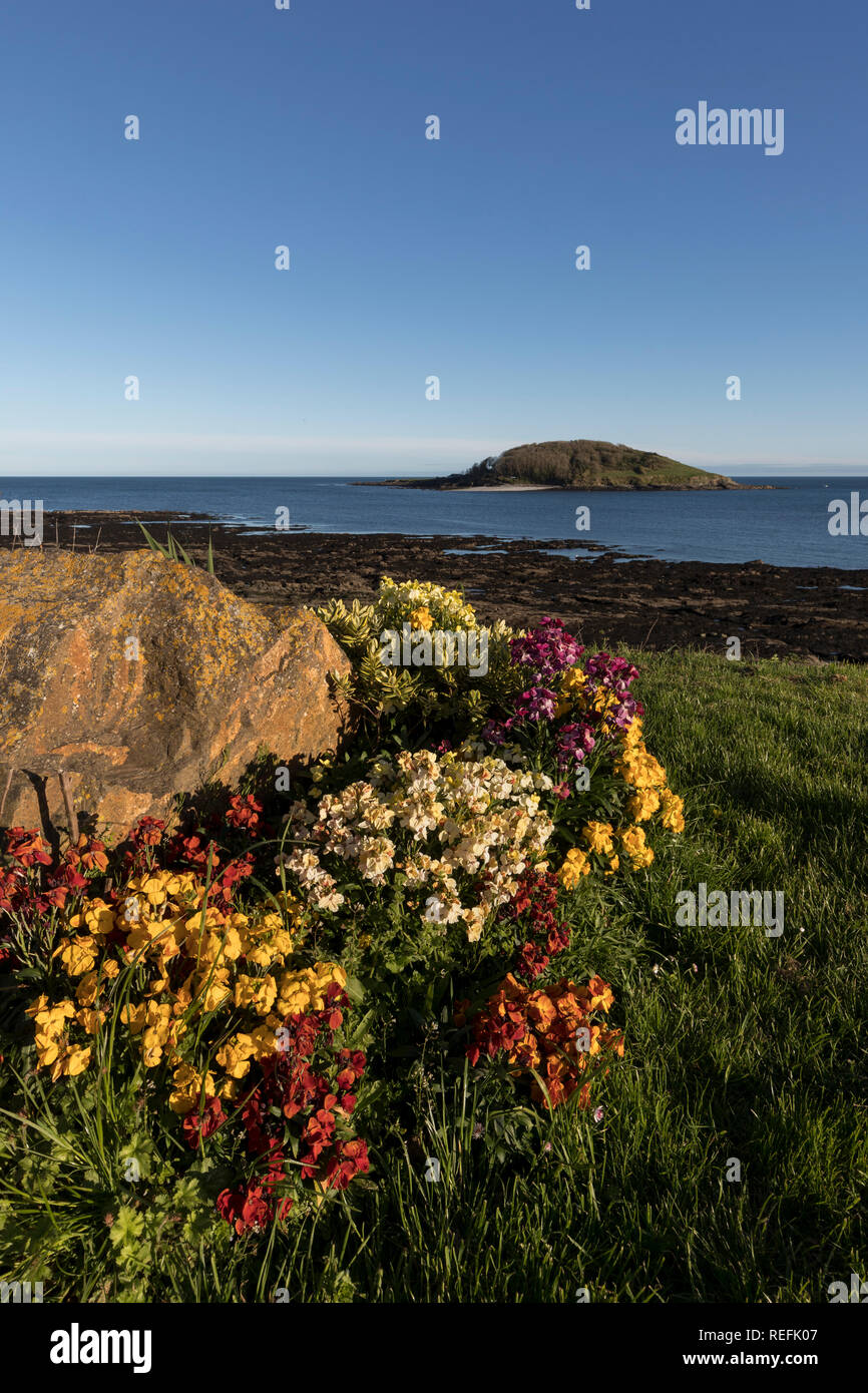 Hannafore Point ; à l'île de St Georges ; Looe, Cornwall, UK Banque D'Images