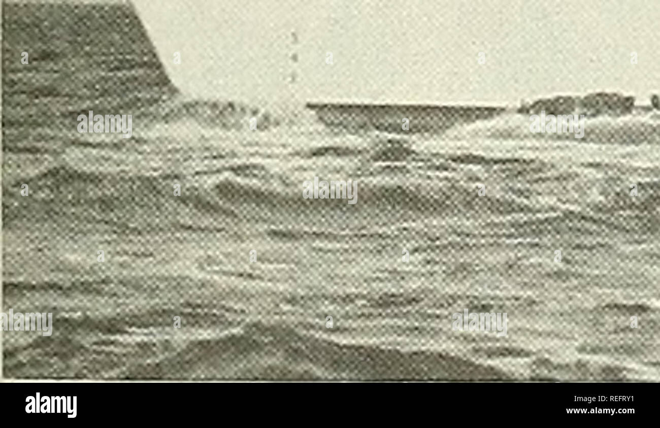 . Examen de la pêche commerciale. La pêche, le commerce du poisson. 57 BAS LONGUNE EXPLORATIONS DANS LE GOLFE DU MEXIQUE, un rapport sur "l'Oregon ll's" première croisière Par Walter R. Nelson* et James S. Carpenter** du FCC et des engins de pêche exploratoire en recherche à Pascagoula, Mississippi, a été à l'amélioration de la récolte et les méthodes de récolte de l'industrie et de localisation de vivaneau de stocks bottomfish pas maintenant utilisé comme nourriture. L'INL960, Captivaand les rivières a fait rapport sur l'utilisation pratique du roller-rigged chaluts pour la capture de poissons vivaneaux et mérous, mais cette méthode n'a pas encore été acceptée par l'indust Banque D'Images