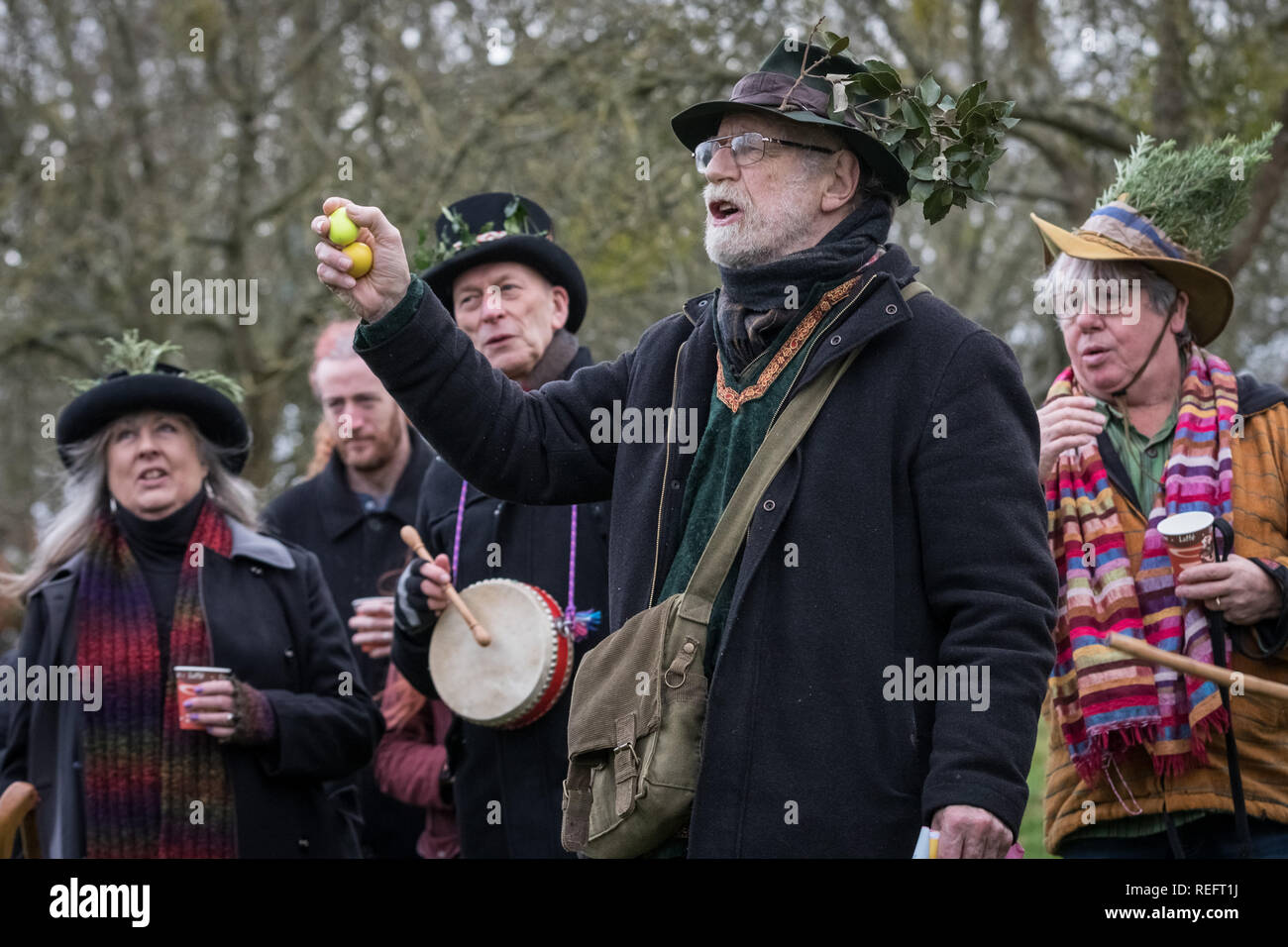 Glastonbury, Royaume-Uni. 12Th jan 2019. Wassailing dans Glastonbury Abbey orchard par l'Ordre des bardes, Ovates et Druides. Crédit : Guy Josse/Alamy Live News Banque D'Images