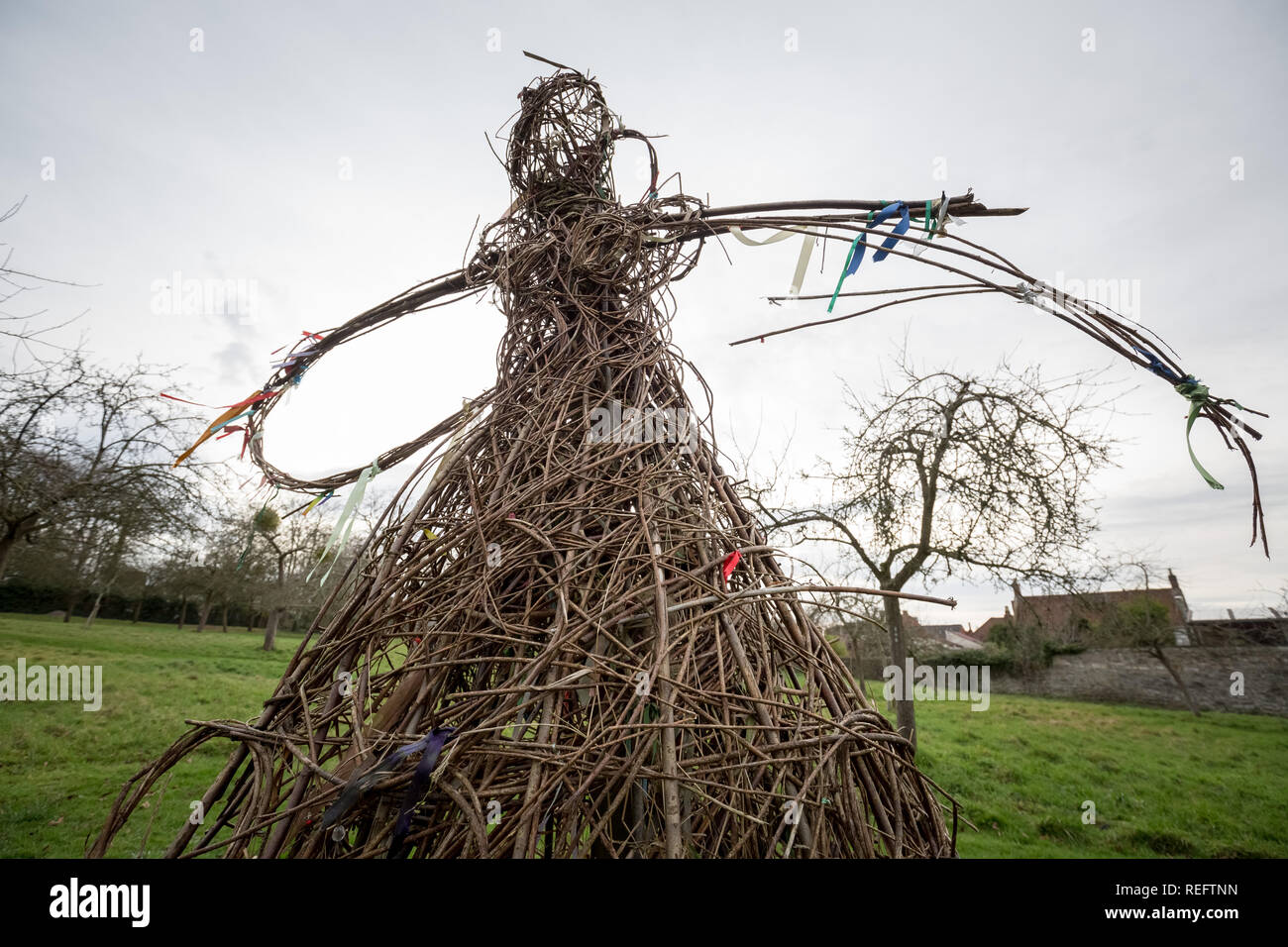 Glastonbury, Royaume-Uni. 12Th jan 2019. Wassailing dans Glastonbury Abbey orchard par l'Ordre des bardes, Ovates et Druides. Crédit : Guy Josse/Alamy Live News Banque D'Images