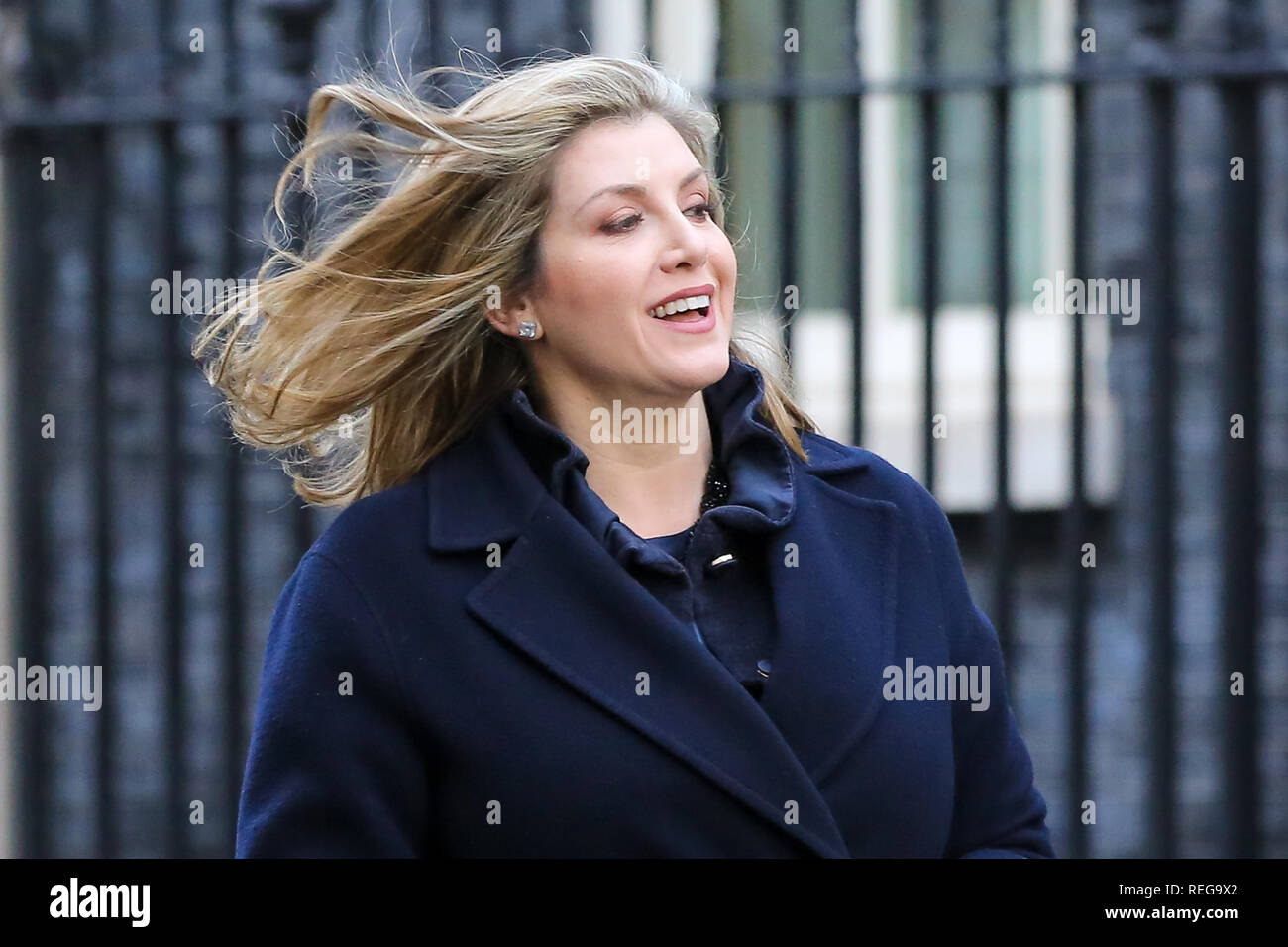 Downing Street, London, UK 22 Jan 2019 - Penny Mordaunt - Secrétaire d'État au Développement international et ministre déroge à l'égalité au 10, Downing Street après avoir assisté à la réunion hebdomadaire du Cabinet. Credit : Dinendra Haria/Alamy Live News Banque D'Images